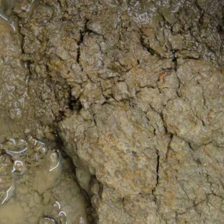 unprocessed clay
