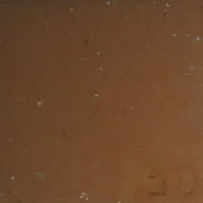 Vzorec 25 – 800 °C