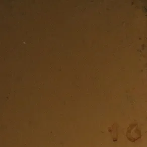 Vzorec 16 – 800 °C