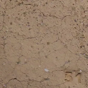 Vzorec 51 – 900 °C