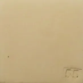 Vzorec 55 – 1000 °C