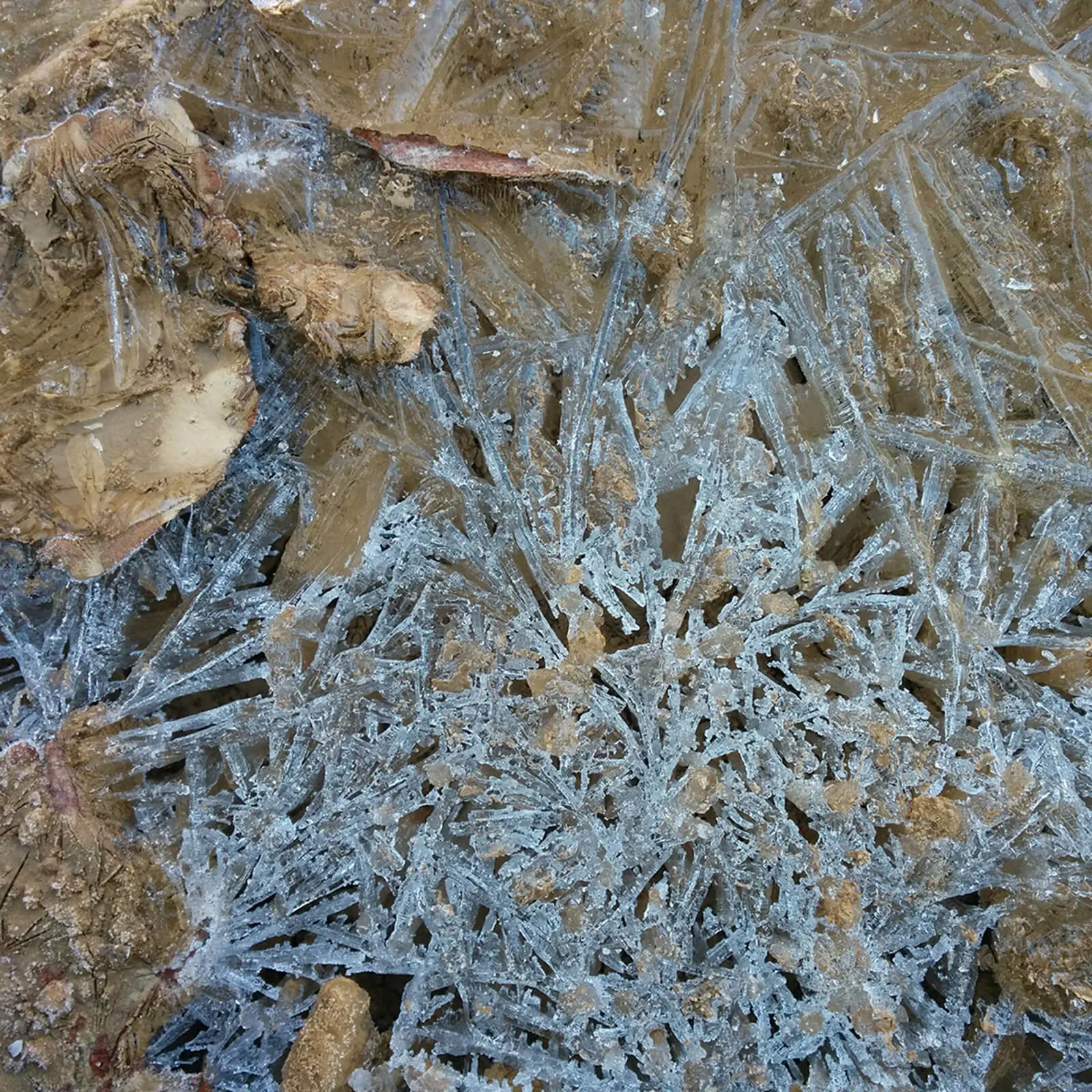Zimska glina – Bitnje · Gorenjska