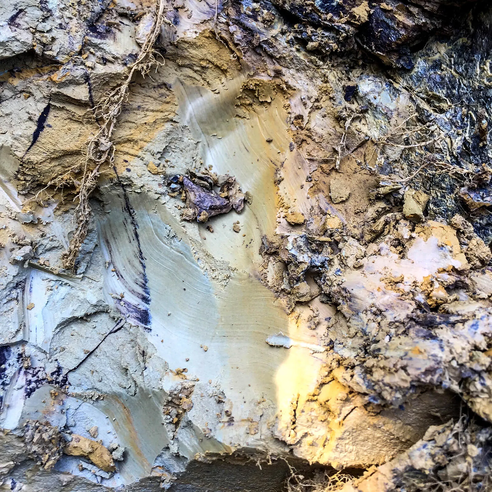 Plasti gline v Ljubečni – Ljubečna · Štajerska