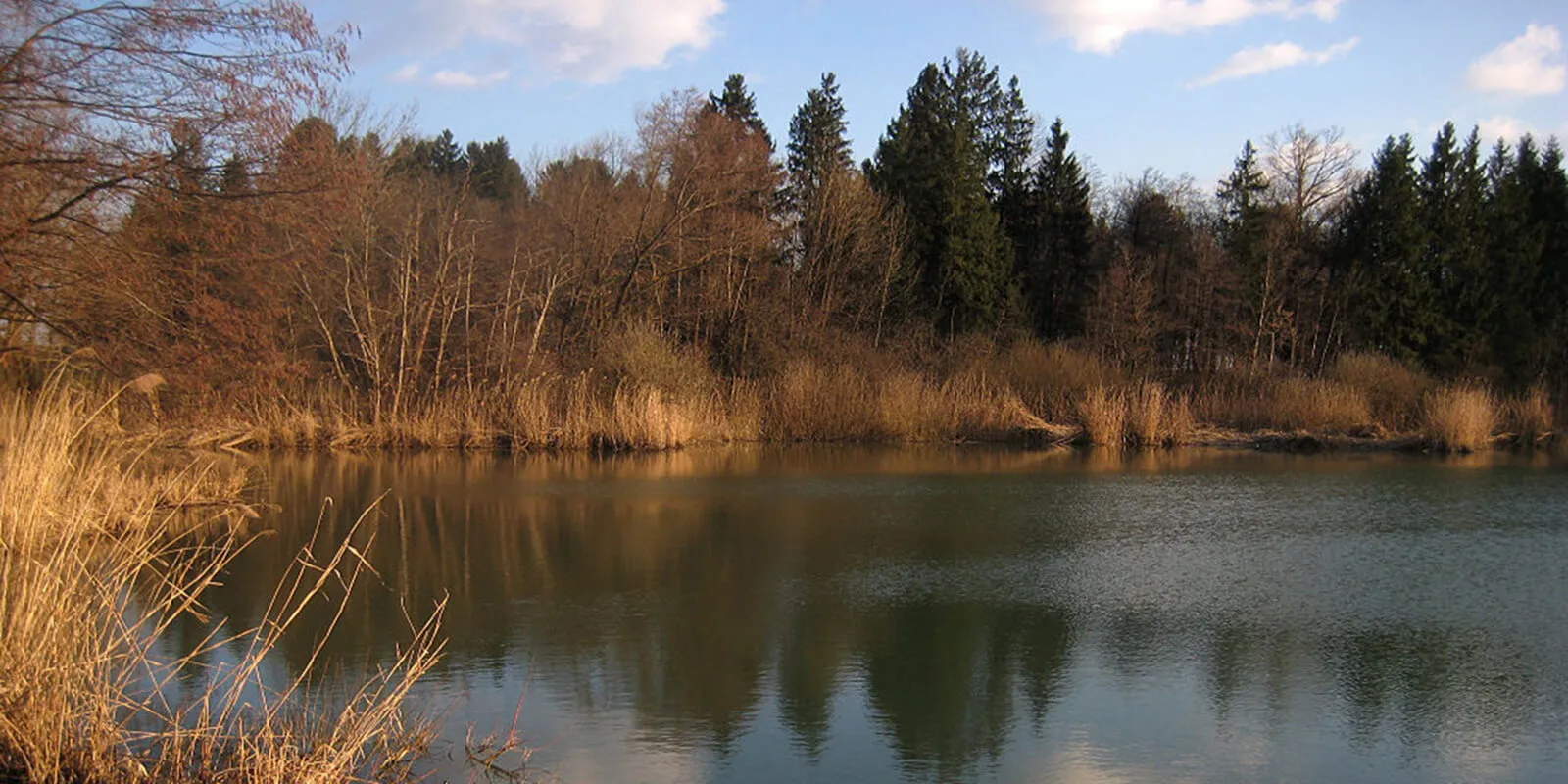 Zaliti glinokopi opekarne v Bobovku – Bobovek · Gorenjska