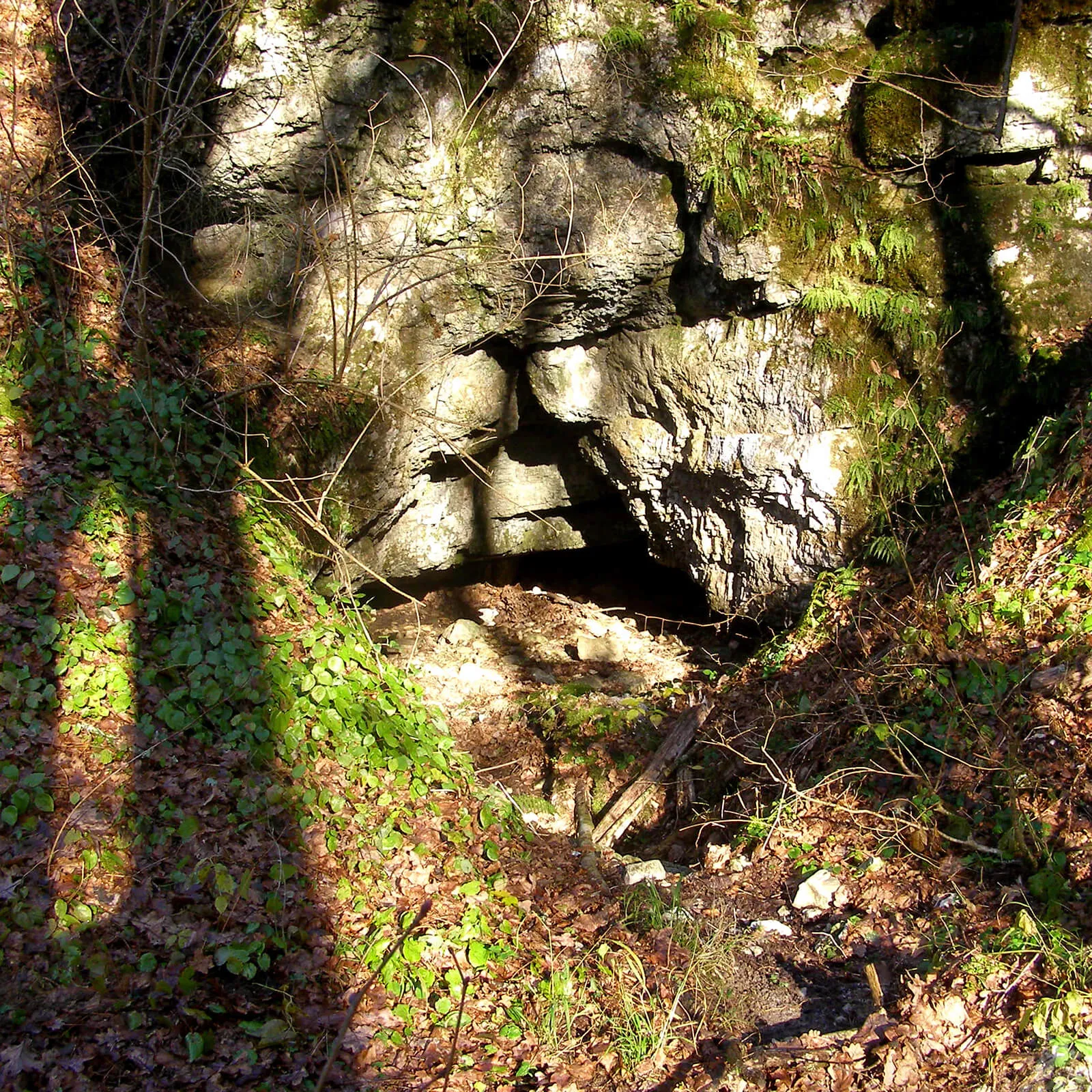Kraška jama Gadina – Gadine-Črnomelj · Bela krajina