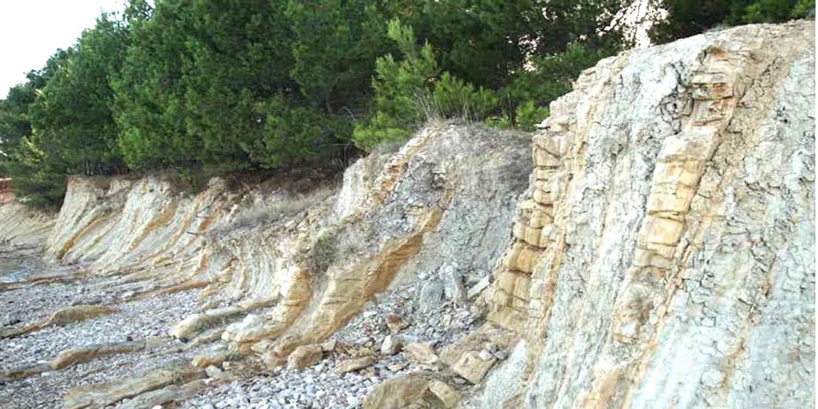 Klif na otoku Vir – Vir · Hrvaška